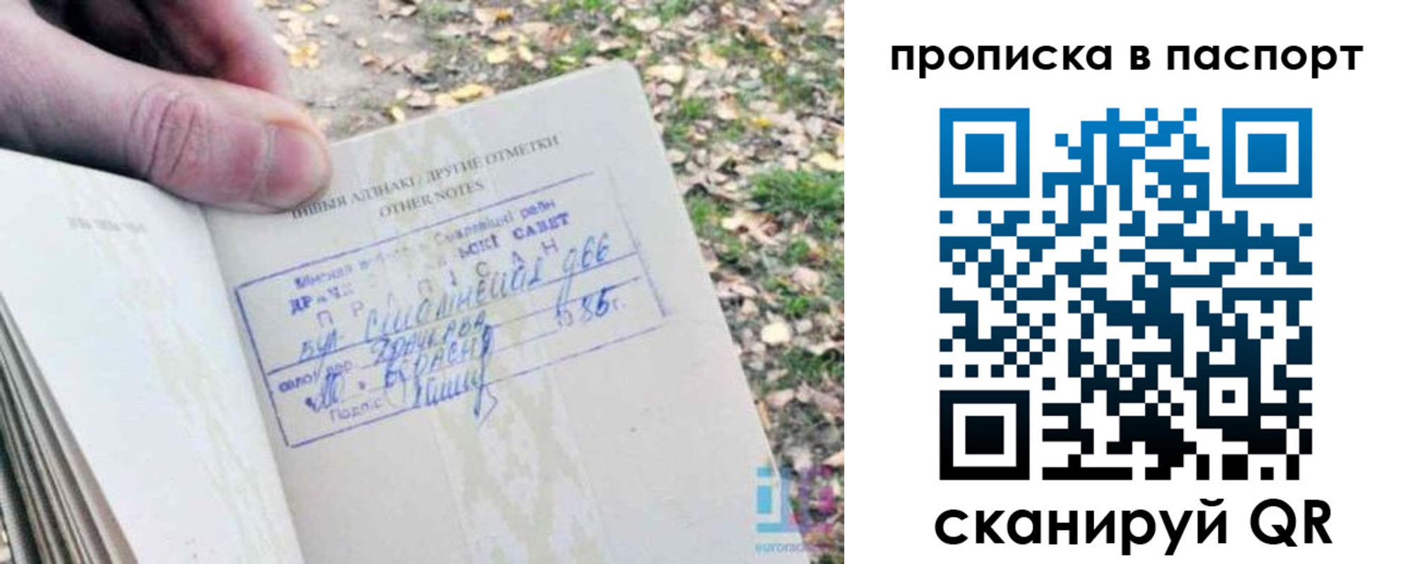купить прописку в Полярных Зорях